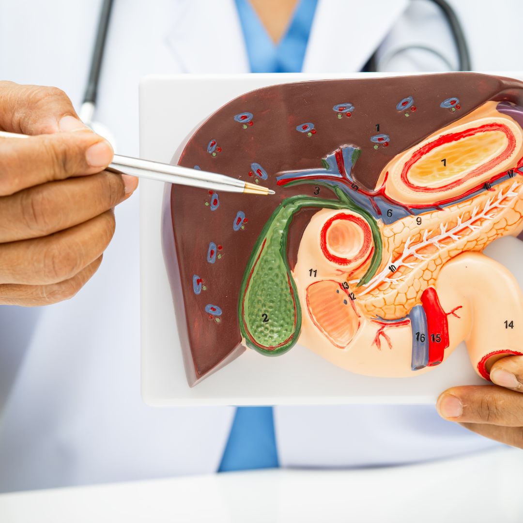You are currently viewing Diagnosticul ecografic al splinei mărite